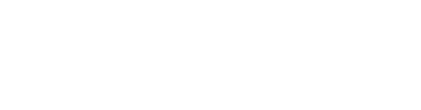 Concept Properties